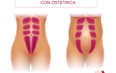 Novità: Rieducazione pavimento pelvico con ostetrica