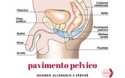 Riabilitazione pavimento pelvico maschile